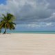 80- Notre plage deserte 